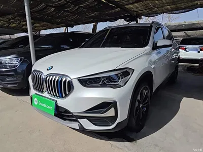 2020 BMW X1 sDrive20Li Fashion Model, фото 1, лот 10467878