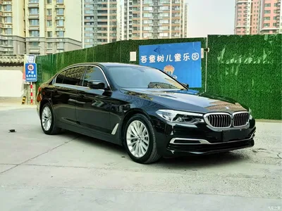 2020 BMW 5 Series 530Li Leading Luxury Package, фото 3, лот 10482638