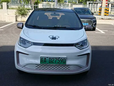 2021 Sehol Flower Fairy 302km Luxury Edition 31.4kWh, фото 2, лот 11568812