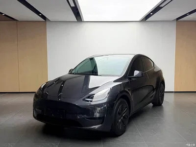 2022 Tesla Model Y Rear-Wheel Drive Version, фото 1, лот 11179242