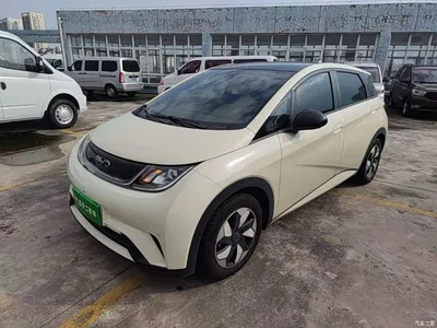2024 BYD Dolphin Glory Edition 420km Fashion Edition, фото 2, лот 11518655