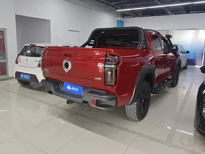 2023 Great Wall Pao 2.0T Off-road Edition Auto Petrol 4WD Limited, фото 4, лот 10384241