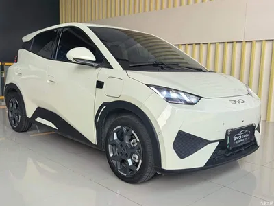 2025 BYD Seagull Smart Driving Edition 405km Flying Edition, фото 3, лот 10621783
