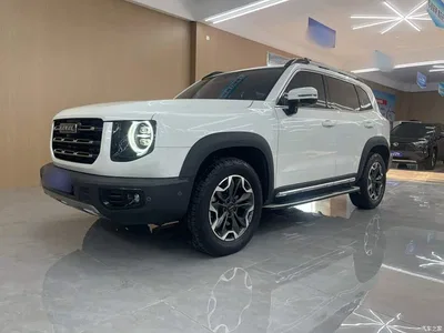 2021 Haval Big Dog 2.0T DCT AWD Howling Celestial Dog Edition, фото 2, лот 10632752