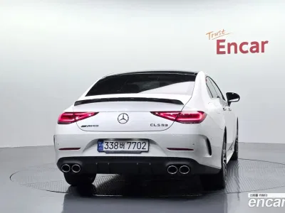 2019 Mercedes-Benz CLS-Class CLS300d AMG Line, фото 4, лот 10162802