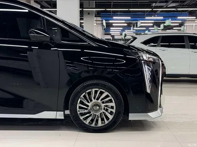 2024 GAC Trumpchi Trumpchi M8 Patriarch Series 400T Ultimate Edition, фото 4, лот 11178245