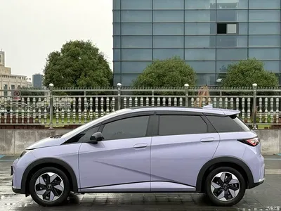 2024 BYD Dolphin Glory Edition 420km Fashion Edition, фото 3, лот 10254934