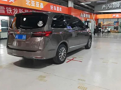 2021 Buick GL8 Land Business Class 652T Premium, фото 3, лот 10248770