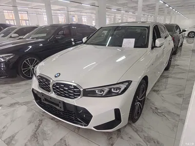 2023 BMW 3 Series 325Li M Sport Package, фото 1, лот 10457690