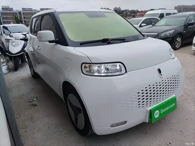 2020 Ora White Cat 360km Luxury Model, фото 4, лот 10330809