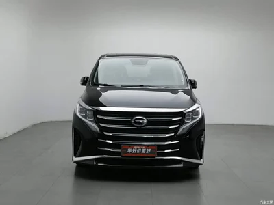 2021 GAC Trumpchi Trumpchi M8 Leading Show Series 390T Ultimate Edition, фото 3, лот 11249303