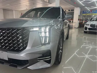 2024 GAC Trumpchi Trumpchi GS8 Navigator Series 2.0TGDI 2WD Luxury Smart Connect Edition, фото 4, лот 11136634