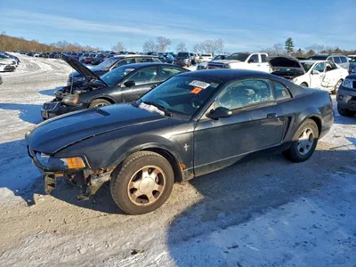 2002 FORD MUSTANG, фото 1, лот 10981580