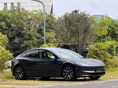 2023 Tesla Model 3 Rear-Wheel Drive, фото 3, лот 11016707