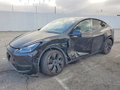 2025 TESLA MODEL Y, фото 1, лот 10851849
