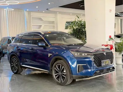 2020 Venucia Star 260T Automatic 48V Mild Hybrid Turbo Starlight Edition, фото 3, лот 11144416