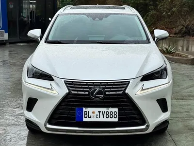 2020 Lexus NX 200 AWD F Sport China VI, фото 3, лот 11062330