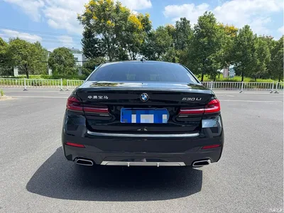 2022 BMW 5 Series 525Li M Sport Package, фото 4, лот 10611898