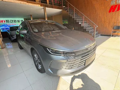 2024 BYD Destroyer 05 Glory Edition DM-i 55KM Luxury, фото 3, лот 10253875