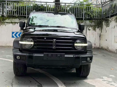 2021 Tank 300 Off-road Version 2.0T Conqueror, фото 2, лот 10887473