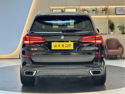 2021 BMW X5 (Import) xDrive30i M Sport Package, фото 3, лот 11450393