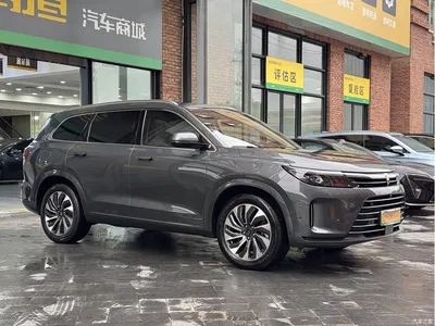 2022 AITO Wenjie AITO M7 1.5T AWD Luxury Edition, фото 3, лот 10625714