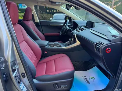 2020 Lexus NX 200 AWD F Sport China V, фото 4, лот 10443547