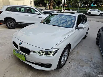 2016 BMW 3 Series 316Li Fashion, фото 2, лот 10457913