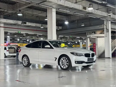 2019 BMW 3 Series GT 320i Fashion Model, фото 3, лот 10473325