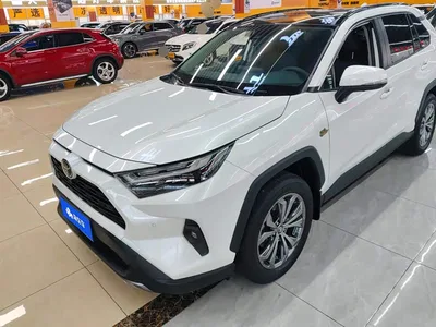 2023 Toyota RAV4 Rongfang 2.0L CVT 2WD 20th Anniversary Platinum Edition, фото 1, лот 11552098