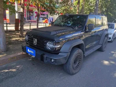 2021 Tank 300 Off-road Version 2.0T Conqueror, фото 1, лот 10344628