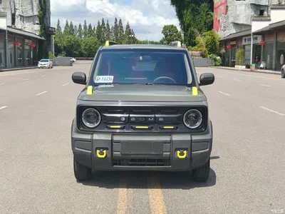 2024 Geely Galaxy Panda 200km Panda Knight, фото 2, лот 10431633