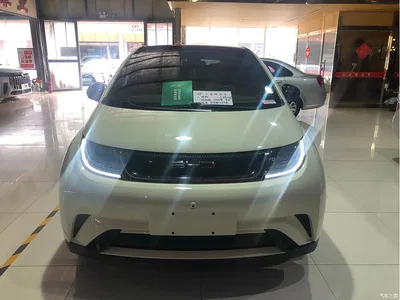 2021 BYD Dolphin Model 405km Fashion Edition, фото 2, лот 11018157