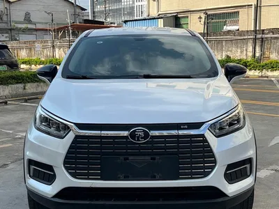 2019 BYD Yuan New Energy EV535 Smart Connected Trend Leader Type, фото 2, лот 10273487