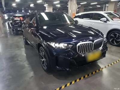 2023 BMW X5 xDrive 30Li Premium M Sport Black Night Package, фото 4, лот 10671691