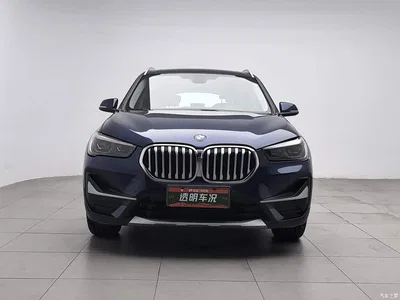 2020 BMW X1 sDrive20Li Premium Edition, фото 3, лот 11568654