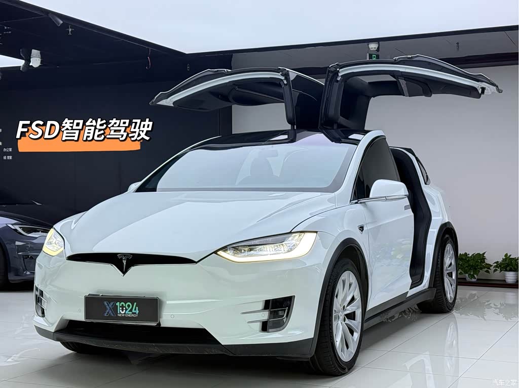 2020 Tesla Model X Long Range Upgrade, фото 1, лот 11198075