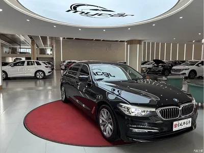 2018 BMW 5 Series 528Li Launch Special Edition, фото 3, лот 10446007