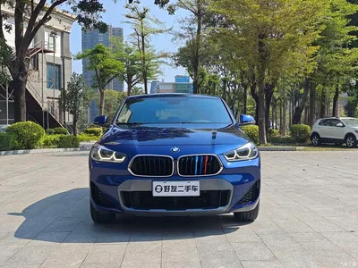 2020 BMW X2 sDrive25i Leading M Off-Road Package, фото 2, лот 10423438