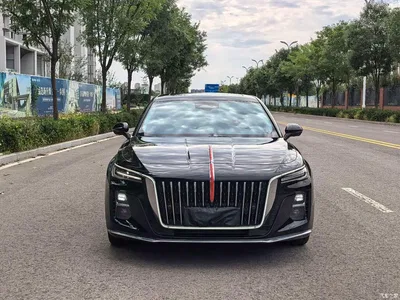 2024 Hongqi H5 2.0T Automatic Smart Connect Flag Smooth Edition, фото 2, лот 10288671