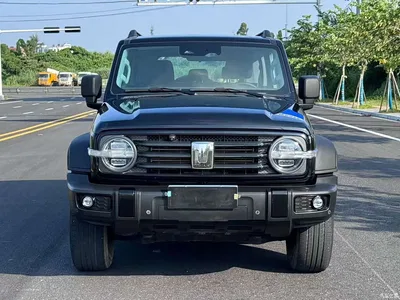 2021 Tank 300 Off-road Version 2.0T Conqueror, фото 2, лот 10344641