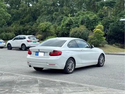2015 BMW 2 Series (Import) 218i, фото 4, лот 10471380