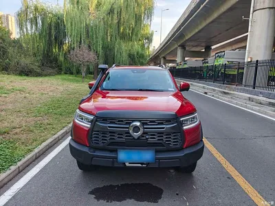 2021 Great Wall Pao Model 2.0T Off-Road Automatic Gasoline 4WD Everest Edition GW4C20B, фото 2, лот 10888873