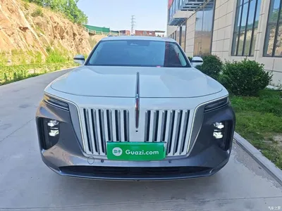2022 Hongqi E-HS9 660km Qi Ling Edition (4-seater), фото 3, лот 10289707