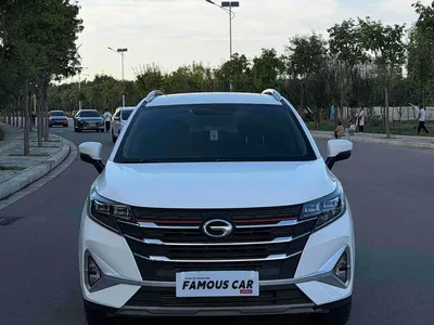 2021 GAC Trumpchi Trumpchi GS3 POWER 270T Auto Enjoy Edition, фото 2, лот 11553895