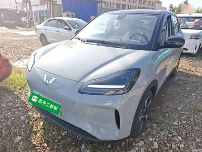 2024 Wuling Motors Wuling Binguo PLUS 510km Range 5-seater, фото 1, лот 10836086