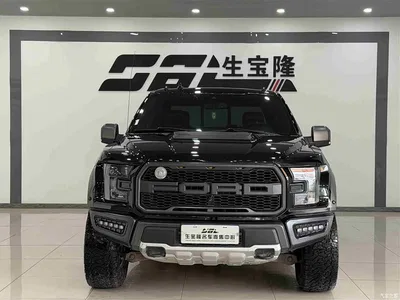 2019 Ford F-150 Raptor 3.5T Raptor Performance Enhanced Edition, фото 2, лот 10296469