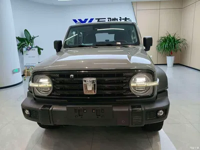 2021 Tank 300 Off-road Version 2.0T Conqueror, фото 2, лот 10442574