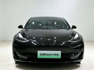 2021 Tesla Model 3 Standard Range Rear-Wheel Drive Upgrade, фото 2, лот 11007452