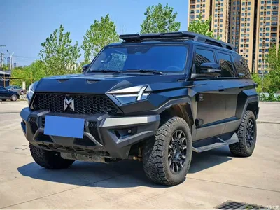 2023 Mengshi 917 Extended Range Base Version, фото 1, лот 11645960